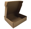 單片摺式紙箱 (4)